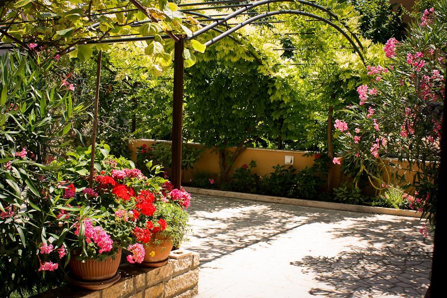 Villa Dolores Rovigno Esterno foto